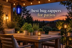 best bug zappers for patios