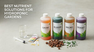 best nutrient solutions for hydroponic gardens