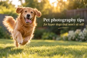 Pet photography tips for hyper dogs that won't sit still