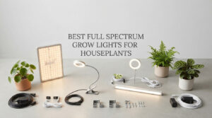 best full spectrum grow lights for houseplants