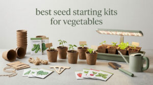 best seed starting kits for vegetables