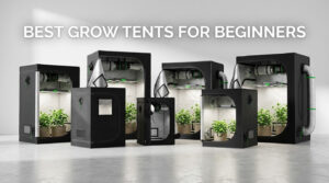 best grow tents for beginners