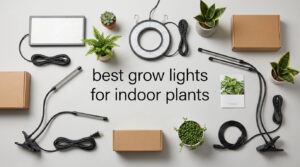 best grow lights for indoor plants