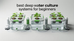 best deep water culture systems for beginners