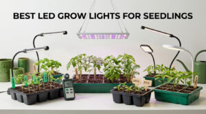 best led grow lights for seedlings